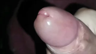 334 beauty porn videos